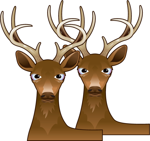 2 Buck Tuesday