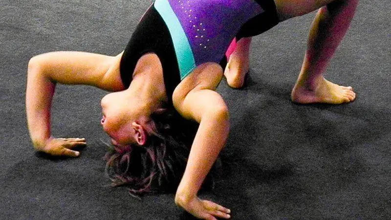 activity gymnastics