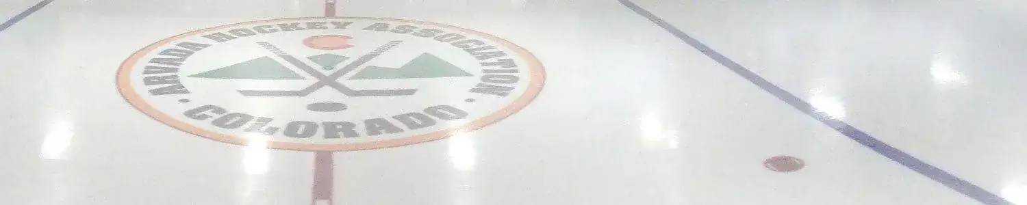 activity header ice skating