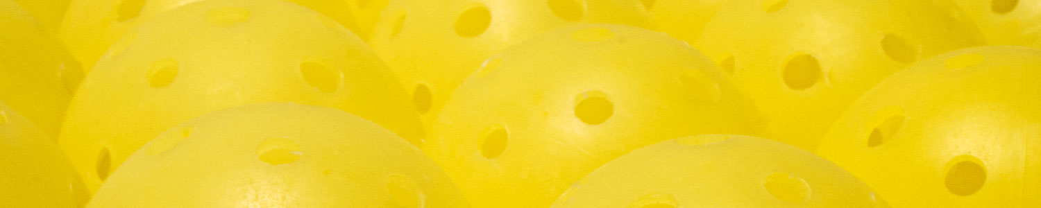 activity header pickleball