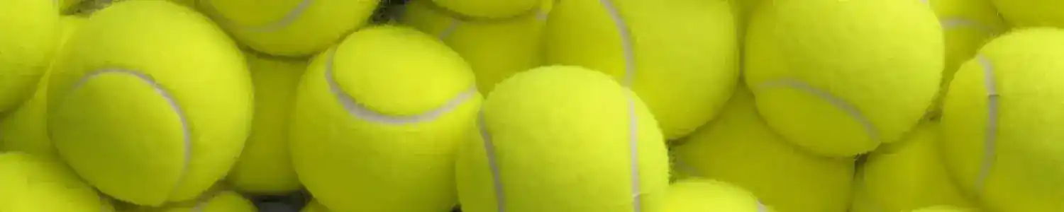 activity header tennis