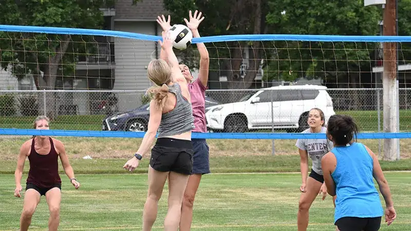activity adult sports volleyball