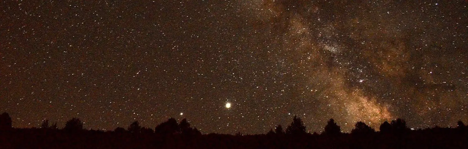 Starry night sky with the Milky Way galaxy visible above a dark tree line silhouette.