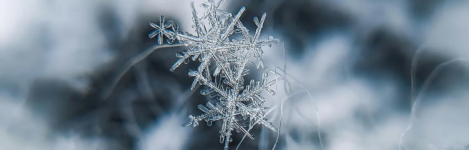 Close-up of intricate snowflakes clustered together against a soft, blurred blue-gray winter background.