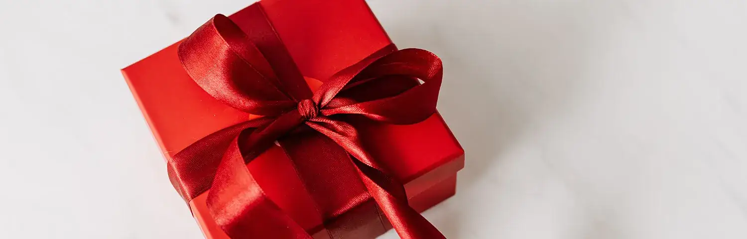 Holiday Gift banner